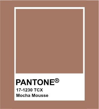 PANTONE® 17-1230 Mocha Mousse: Цвет 2025 года