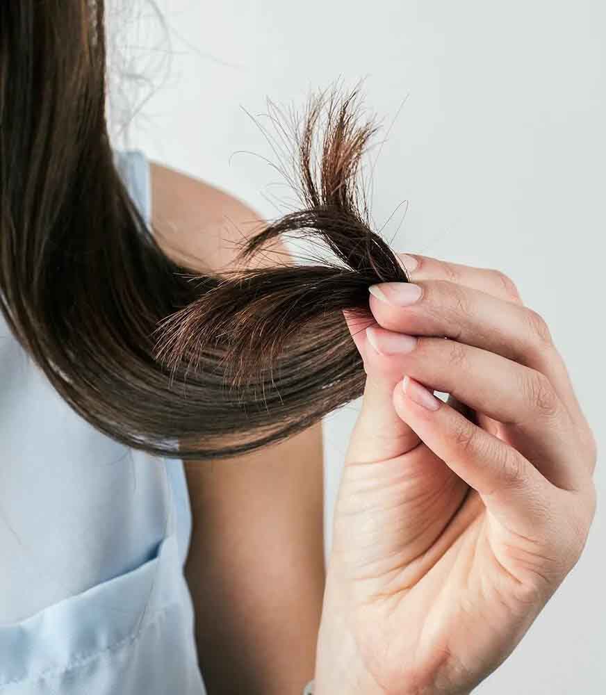 Лечение секущихся кончиков волос в салоне красоты 