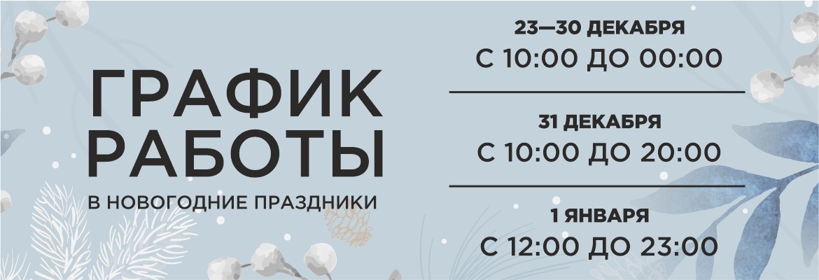 НГ Химки и СВОИ